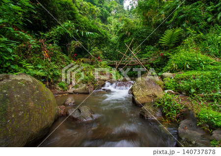 Majestic view of Coban Glotak waterfall hidden inside a lush tropical jungle on Mount Kawi, beautiful cascading water stream on a rocky cliff in Malang, Indonesia Majestic view of Coban Glotak waterfall hidden inside a lush tropical jungle on Mount Kawi, beautiful cascading water stream on a rocky cliff in Malang, Indonesia 140737878