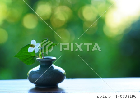 一輪挿しのドクダミの花 一輪挿しのドクダミの花 140738196