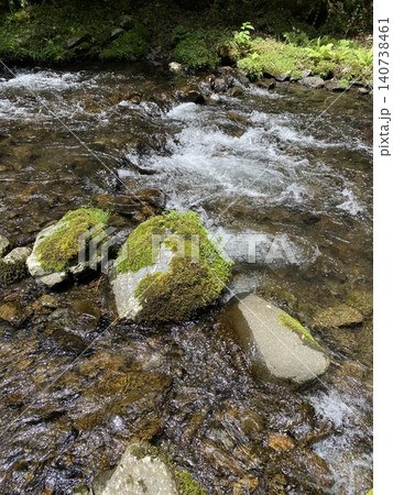 苔むした岩と清流が流れる渓谷の自然風景 苔むした岩と清流が流れる渓谷の自然風景 140738461