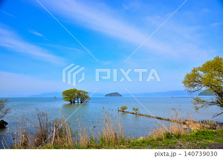 《滋賀県》新緑の琵琶湖に浮かぶ竹生島 《滋賀県》新緑の琵琶湖に浮かぶ竹生島 140739030