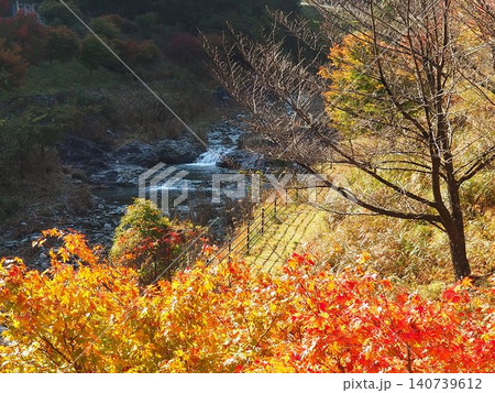 渓谷の紅葉 渓谷の紅葉 140739612