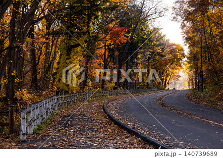秋の紅葉に染まる道路 秋の紅葉に染まる道路 140739689