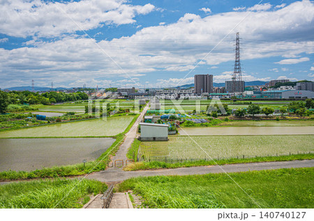 淀川左岸堤防上からの田園風景 大阪府枚方市 淀川左岸堤防上からの田園風景 大阪府枚方市 140740127