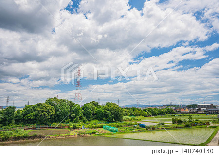 淀川左岸堤防上からの田園風景 大阪府枚方市 淀川左岸堤防上からの田園風景 大阪府枚方市 140740130