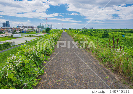 淀川左岸堤防上からの景観 大阪府枚方市 淀川左岸堤防上からの景観 大阪府枚方市 140740131