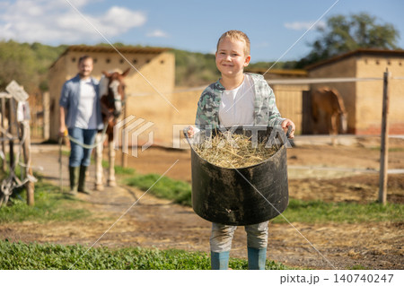 Boy helps his parents on horse farm - he carries basket of hay for horses Boy helps his parents on horse farm - he carries basket of hay for horses 140740247