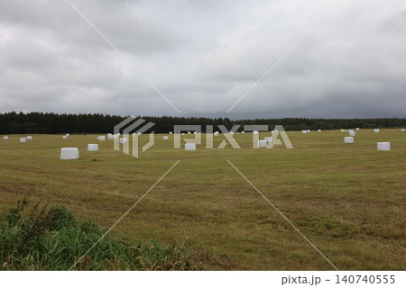 牧草ロールが広がる北海道の風景 牧草ロールが広がる北海道の風景 140740555
