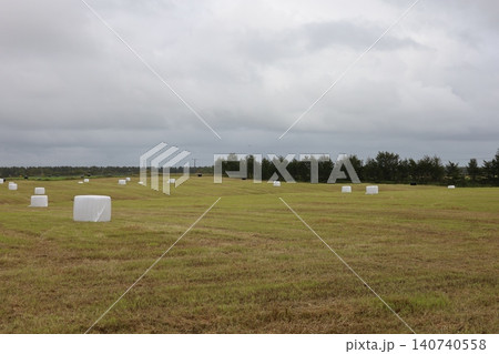 北海道の大地と牧草コロンがある風景 北海道の大地と牧草コロンがある風景 140740558