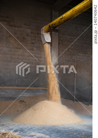 Supply pipe pouring maize germ meal onto pile in warehouse Supply pipe pouring maize germ meal onto pile in warehouse 140740642