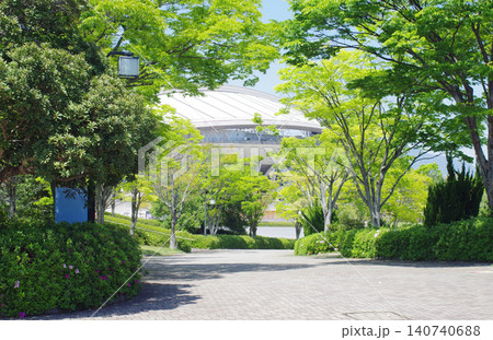 新緑の広域公園の景色 新緑の広域公園の景色 140740688