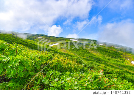 夏の晴れ間 鳥海山・緑の斜面と残雪にすぐ近くで湧き上がる白い雲の山岳風景 140741352