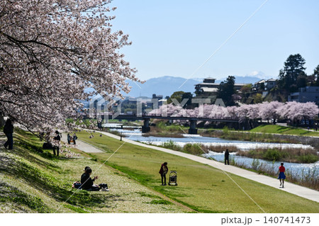 桜が満開の犀川 140741473