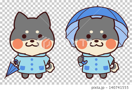 一隻黑色柴犬,穿著雨衣,拿著一把傘。 一隻黑色柴犬,穿著雨衣,拿著一把傘。 140741555