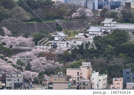 桜満開の金沢城公園 140741614