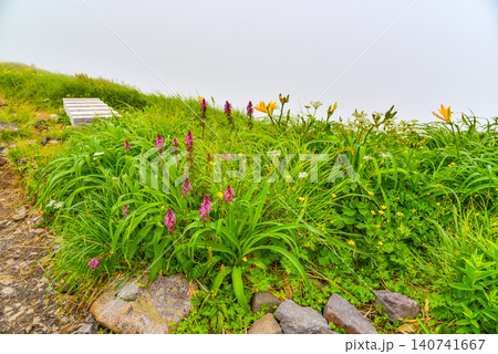 夏の鳥海山 湧き上がる雲に包まれる登山道のベンチと足元を彩る高山植物風景 140741667