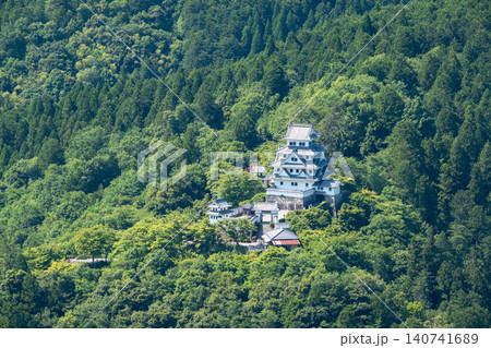 郡上八幡城 郡上八幡城 140741689