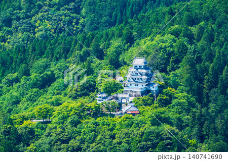 郡上八幡城 郡上八幡城 140741690