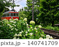 白紫陽花の中を登る電車 140741709