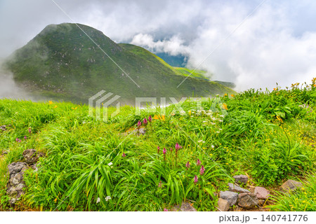 夏の快晴 鳥海山の登山道と緑の山肌の向こうに湧き上がる白い雲の風景 夏の快晴 鳥海山の登山道と緑の山肌の向こうに湧き上がる白い雲の風景 140741776