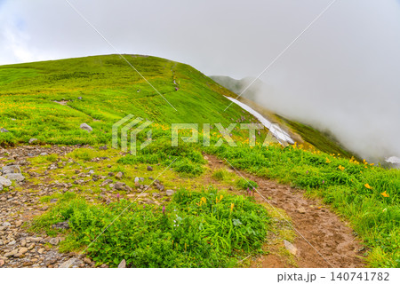 夏の快晴 鳥海山の登山道と緑の山肌の向こうに湧き上がる白い雲の風景 140741782