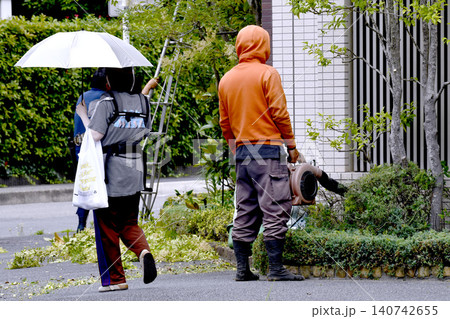 日本の横浜都市景観 街中で見かけた剪定作業後の丁寧な清掃作業…通行人の安全にも配慮…=横浜市内 日本の横浜都市景観 街中で見かけた剪定作業後の丁寧な清掃作業…通行人の安全にも配慮…=横浜市内 140742655