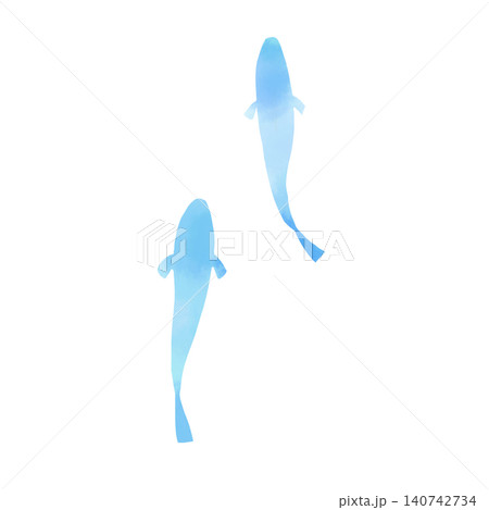 青い魚の水彩風イラスト素材 上から見た2匹の涼しげな手描きカット 青い魚の水彩風イラスト素材 上から見た2匹の涼しげな手描きカット 140742734