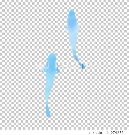 青い魚の水彩風イラスト素材 上から見た2匹の涼しげな手描きカット 青い魚の水彩風イラスト素材 上から見た2匹の涼しげな手描きカット 140742734