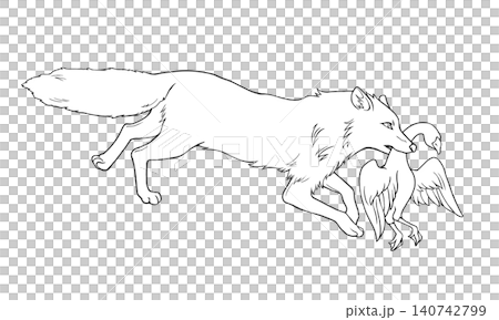 ガチョウをくわえるキツネ(横向き)のリアルタッチな線画イラスト ガチョウをくわえるキツネ(横向き)のリアルタッチな線画イラスト 140742799