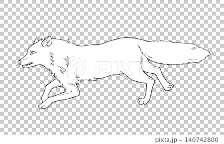 A realistic line drawing illustration of a running fox (side view). 140742800