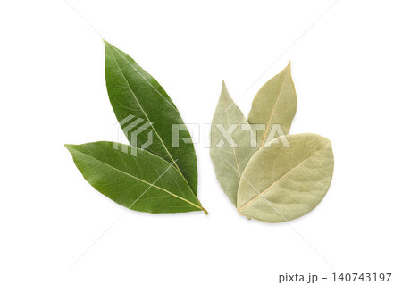 Fresh and dried bay leaves display vibrant colors and distinct textures, PNG Fresh and dried bay leaves display vibrant colors and distinct textures, PNG 140743197