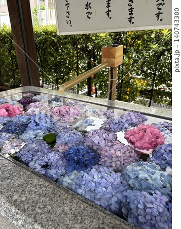 世田谷区の桜神宮の花手水(紫陽花) 世田谷区の桜神宮の花手水(紫陽花) 140743300