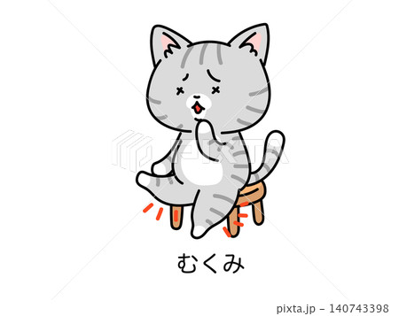 更年期や立ち仕事で足がむくんでパンパンなネコさん 140743398