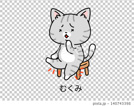 更年期や立ち仕事で足がむくんでパンパンなネコさん 140743398