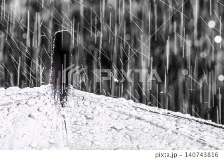 梅雨・激しく降る雨のイメージ 140743816