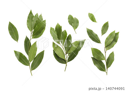 Fresh bay leaves are displayed in various arrangements, enhancing natural beauty, PNG Fresh bay leaves are displayed in various arrangements, enhancing natural beauty, PNG 140744091