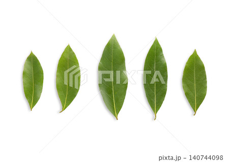 Fresh bay leaves display rich green hues and intricate structures, PNG Fresh bay leaves display rich green hues and intricate structures, PNG 140744098