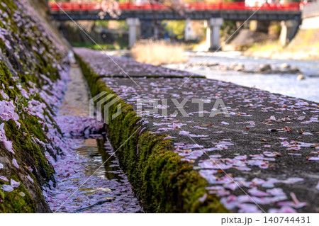 260416中橋桜g091 260416中橋桜g091 140744431