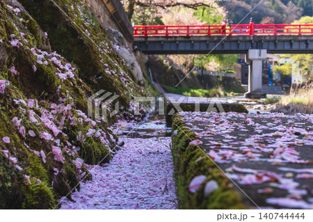 260416中橋桜g118 260416中橋桜g118 140744444