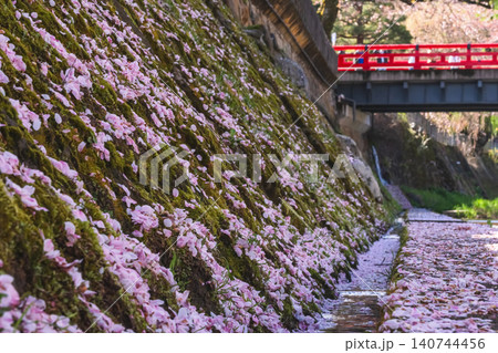 260416中橋桜g151 260416中橋桜g151 140744456