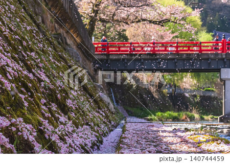 260416中橋桜g158 260416中橋桜g158 140744459