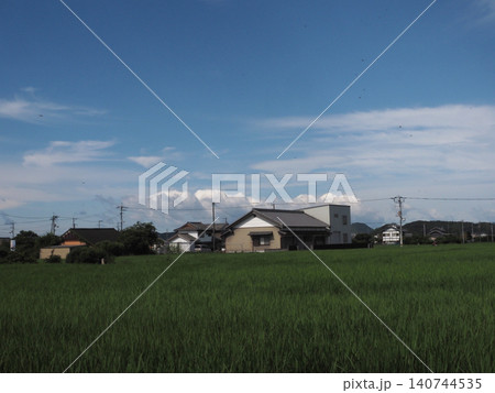 緑の田園風景（梅雨の中休みの香長平野） 140744535