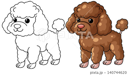 Cute Poodle Dog Cartoon Character in Color and Line Art Style 140744620