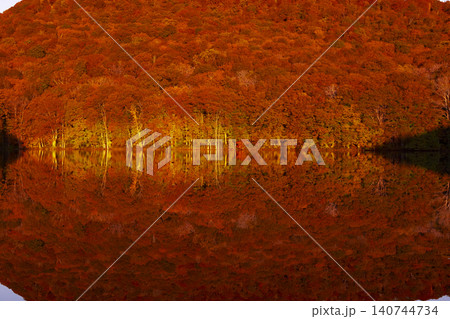 蔦沼 朝焼けの紅葉 蔦沼 朝焼けの紅葉 140744734