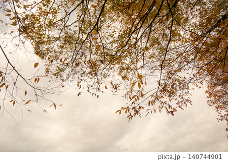 various various 140744901