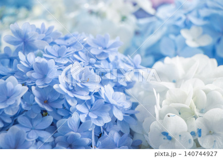 色鮮やかな紫陽花が敷き詰められた美しい花手水 色鮮やかな紫陽花が敷き詰められた美しい花手水 140744927