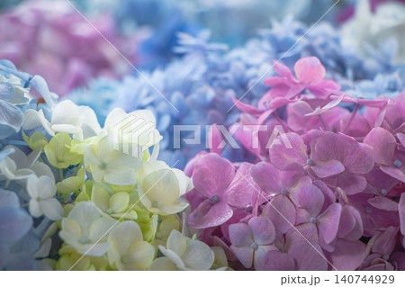 色鮮やかな紫陽花が敷き詰められた美しい花手水 色鮮やかな紫陽花が敷き詰められた美しい花手水 140744929