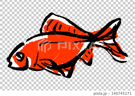 一幅手繪風格的金魚插圖。 140745271