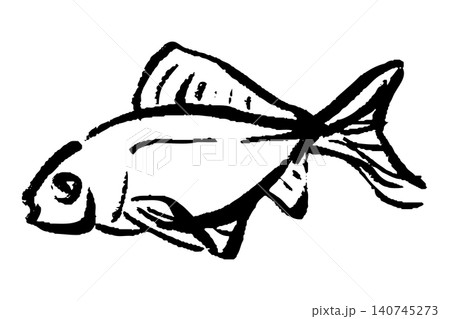 筆タッチの手描きの金魚のイラスト 筆タッチの手描きの金魚のイラスト 140745273