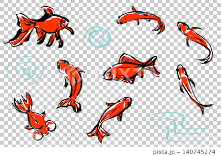 筆タッチの手描きの金魚のイラストセット 筆タッチの手描きの金魚のイラストセット 140745274
