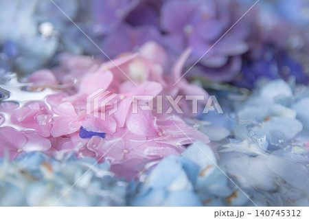 色鮮やかな紫陽花が敷き詰められた美しい花手水 色鮮やかな紫陽花が敷き詰められた美しい花手水 140745312
